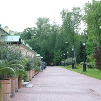 Оранжереи Царицынского дворца