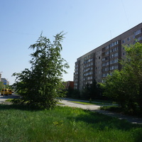 На улице Пацаева.