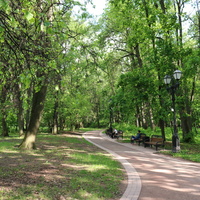 Царицынский парк