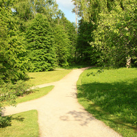 Парк на территории музея-заповедника