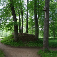 Парк в музее-усадьбе "Петровское"