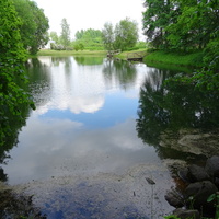 Территория музея-усадьбы "Петровское". Хозяйственный пруд.