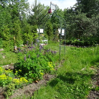 На территории Сергиевой пустыни