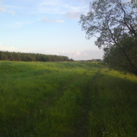Зелёная дорожка возле Заводского пруда