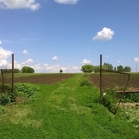 Дорога вдоль огородов