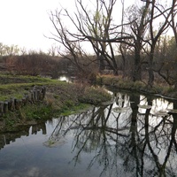 Природа на хуторе Черновка