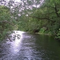 Бурное течение реки