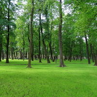 Парк у Каменноостровского дворца