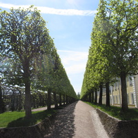 Петергоф,  Верхний сад