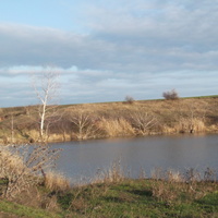 Ставок возле Майшего сада