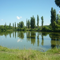 село Тарнавка