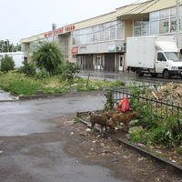 Таганрог. Центральный рынок.