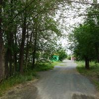 На улице Гомельской.