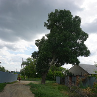 пос. Москва.