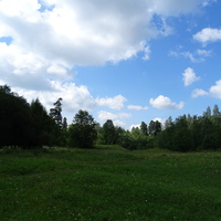 Природа в Ульяновке