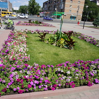 На площади Васнецова.