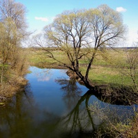 Природа села  Кошлаково