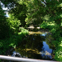 речка Елшанка.