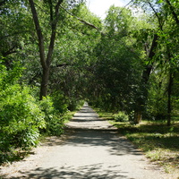 Парк вдоль проспекта Мира.