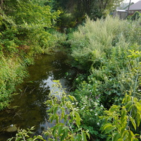 Речка Казак-Чехан.