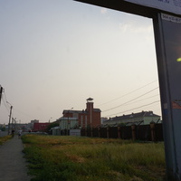 На улице Волкова.