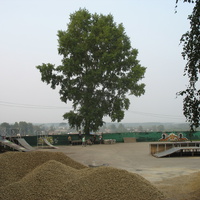 Сыктывкар 2016