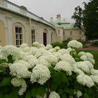 Сад Большого Меншиковского дворца