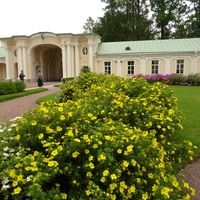 Сад Большого Меншиковского дворца