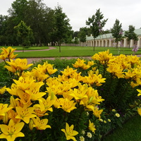 Сад Большого Меншиковского дворца