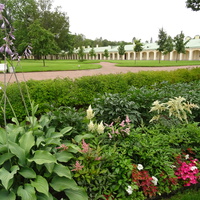 Сад Большого Меншиковского дворца