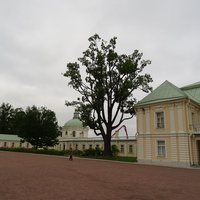 Сад Большого Меншиковского дворца