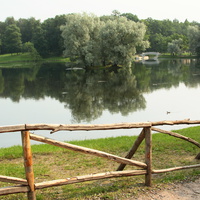 Дворцовый парк. Белое озеро.