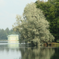 Дворцовый парк. Белое озеро.