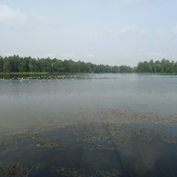 Дворцовый парк. Белое озеро.