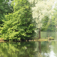 Дворцовый парк. Белое озеро.