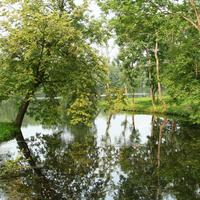 Дворцовый парк. Белое озеро.