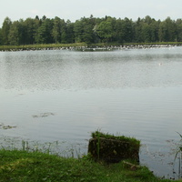 Дворцовый парк. Белое озеро.