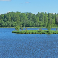 Гостилицкое озеро