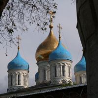 Купола собора Спаса Преображения Новоспасского монастыря