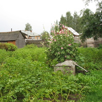 Сыктывкар 2016