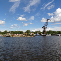 Лесная гавань