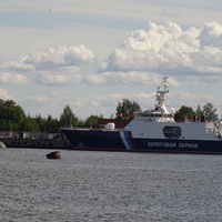 Лесная гавань