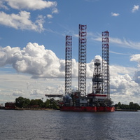 Лесная гавань