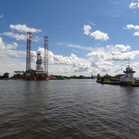 Лесная гавань