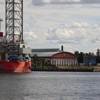 Лесная гавань