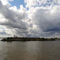 Лесная гавань