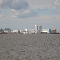 Невская губа