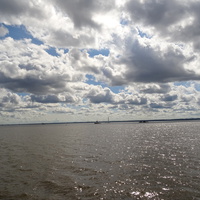 Невская губа