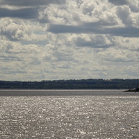 Невская губа