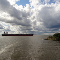 Невская губа